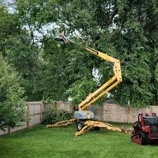 Best Tree and Shrub Care  in Indian Springs Village, AL