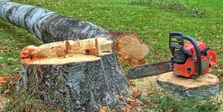 Best Firewood Processing and Delivery  in Indian Springs Village, AL