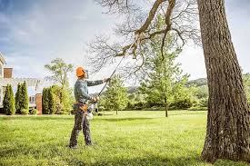 Best Lawn Maintenance Plans  in Indian Springs Village, AL