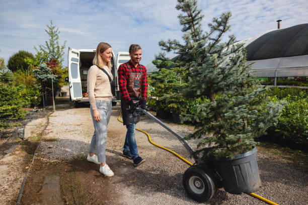 Best Lawn Grading and Leveling  in Indian Springs Village, AL