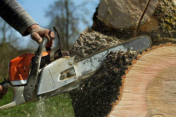  Indian Springs Village, AL Tree Services Pros